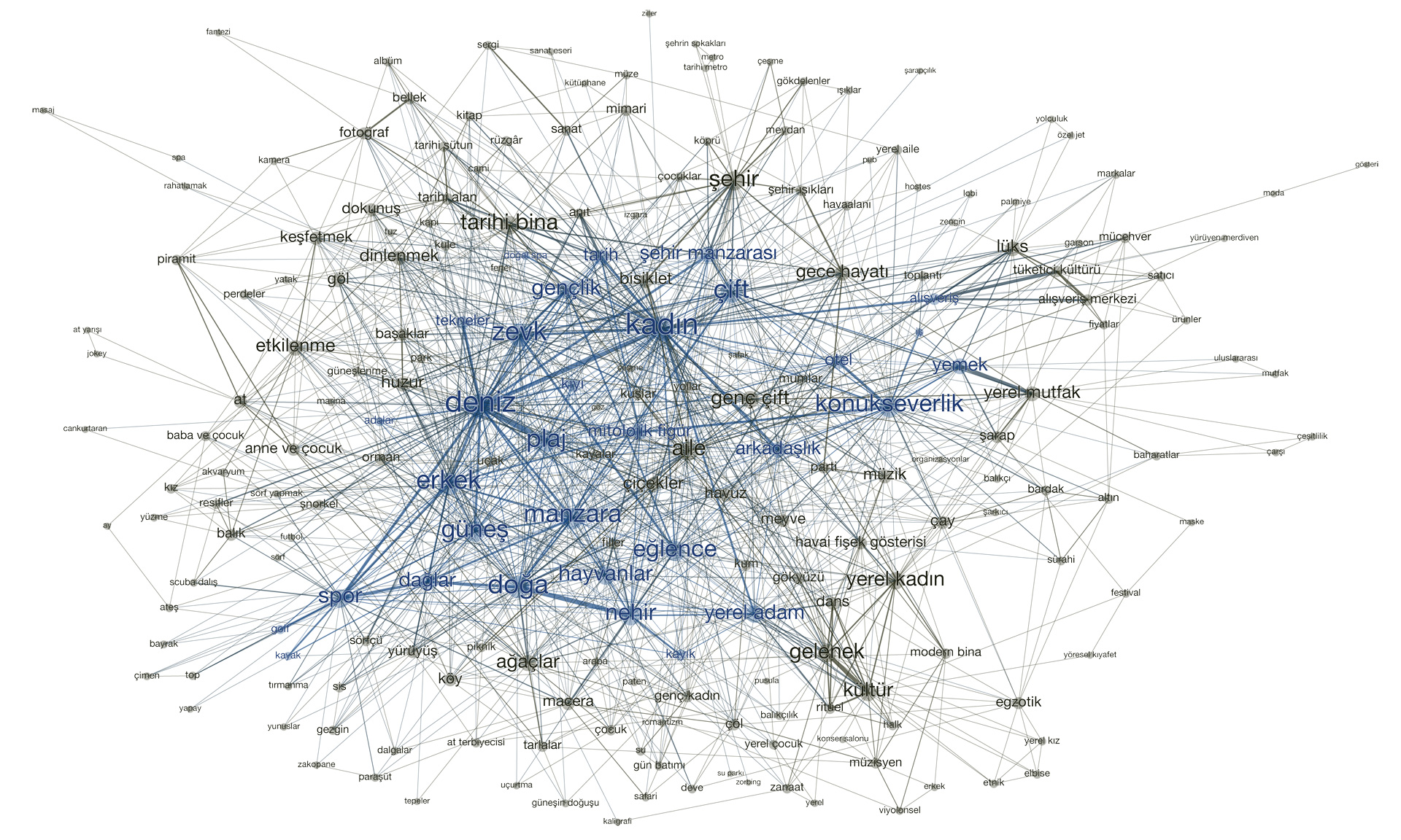 Monovacation Network Diagram
